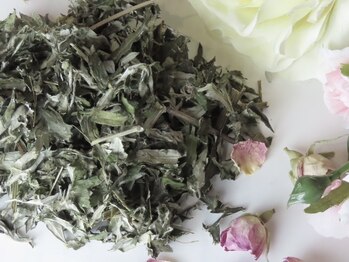 国産無農薬よもぎ蒸し もくもく新宿店【よもぎ蒸し専門店】よもぎ蒸し/よもぎ蒸しの写真/【OPEN記念!!】四国産無農薬よもぎ100％のよもぎ蒸し専門店☆こだわりのよもぎ蒸し 60分 ￥6600→￥3300♪