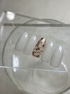 定額【オフィスコース】