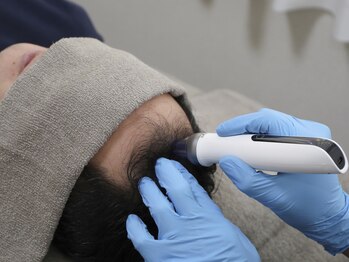 シーライン(Cline)/new photo