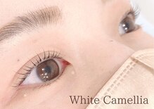 ホワイトカメリア(White Camellia)