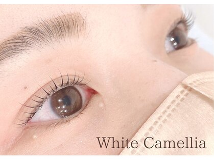 ホワイトカメリア(White Camellia)の写真