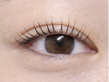 リーベ 高槻(Liebe)/☆まつ毛パーマ(ラッシュリフト)