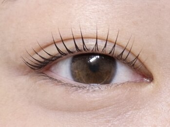 リーベ 高槻(Liebe)/☆まつ毛パーマ(ラッシュリフト)