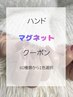 【新規・会員限定】★ハンドマグネット.フラッシュネイル1色選択50分★4500円