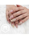 (MAI)MAI定額