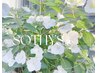 60min.SOTHYS basic spa 100%vegan