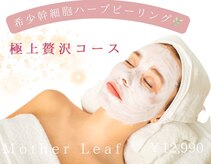マザーリーフ(Mother Leaf)