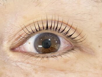 eyelash salon f deux アイラッシュ専門店 【エフ ドゥ】【4/1OPEN(予定)】/まつ毛パーマ