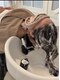 ニコリ(Nicori)の写真/頭・首・肩から整え、深い眠りへ導く極上整体
ヘッドスパ