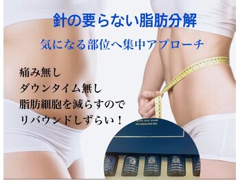 ブルームエイト(Bloom8)/針の要らない脂肪分解