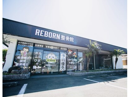 リボーン(REBORN)の写真