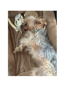 ポノサロン(pono salon)/昼寝のくろ