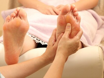 マゼンタの写真