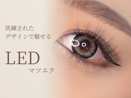 デア(DEA)の写真