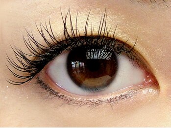 リジュ(Reju)/『アイラッシュ』