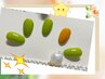 【ご新規様限定】ワンカラー or ラメグラデーション　¥3500