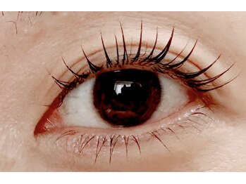 ラマジ(Lamazi)/上下ラッシュリフト