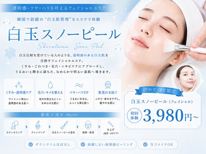 エステティック レイビス 横浜店(RAYVIS)の写真