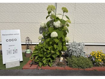 ココ(COCO)/外の看板が目印です！