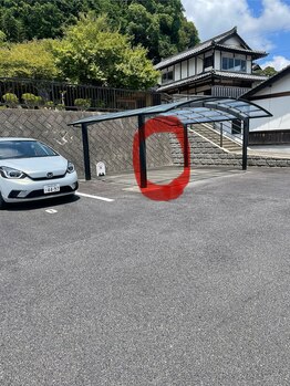 ラウレレ(Laulele)/