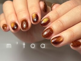 マグネット/フラッシュ