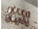 Dコース 6600円