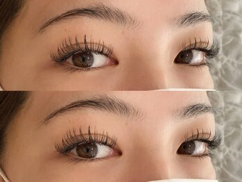 エルドット 八尾店(L.)/フラットラッシュ180本