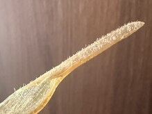 ジュパール(je pars)/フェイスワックス脱毛