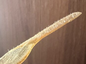 ジュパール(je pars)/フェイスワックス脱毛