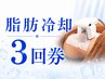【脂肪冷却3回コース】 脂肪冷却4CUP(80分)+キャビテーション(20分)