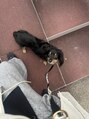 エニー アイラッシュ 鳥栖店(ANY Eyelash) 愛犬ハニオがいます◎趣味はNetflixでドラマや映画鑑賞です◎