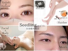 シードリン(Seedling)
