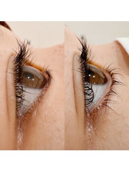 ギャラクシービューティー(galaxy beauty)/下まつげの重要性