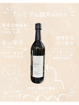 クスノキ(9sの木)/おすすめ酵素