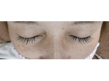 シルフ 石橋店(Sylph)/100本