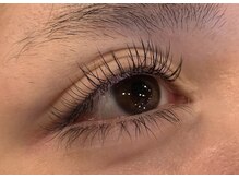 レミア 関内(REMIA)/12月　フラットラッシュ