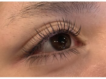 レミア 関内(REMIA)/12月　フラットラッシュ