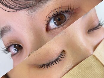 アッシュ 十日市場(Ash)/ラッシュリフト(上まつげ)