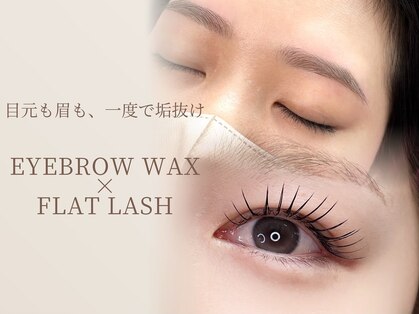 デア(DEA)の写真