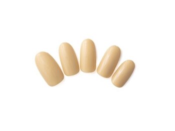 ネイルサロン ディーバ 調布店(Diva)/Spring　color