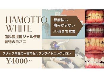 ハモットホワイト(Hamotto White)