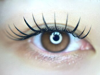 フィーヌ(Phine)/