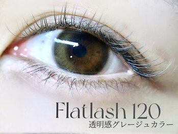 ベルダ(BELDAD)/フラットラッシュカラーエクステ