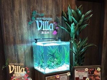 アジアンリラクゼーション ヴィラ 新潟西店(asian relaxation villa)/Villa新潟西店へようこそ！