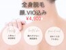【人気NO.1】全身脱毛＋顔＋VIO込￥17600→初回￥4900