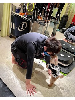 ルナスポット/マウンテンクライマー！