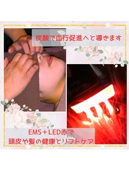 ノア/リフトアップは頭皮から