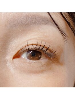 ラヴィータエベッラ(La Vita e Bella)/フラットラッシュ100本