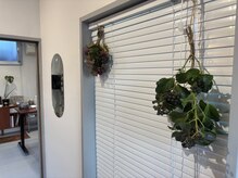 トワトワ(ToiToi)/