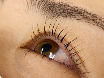 ウルカ アイラッシュ(uruka EYELASH)/ラッシュリフト